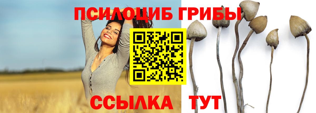 Галлюциногенные грибы ЛСД Егорьевск